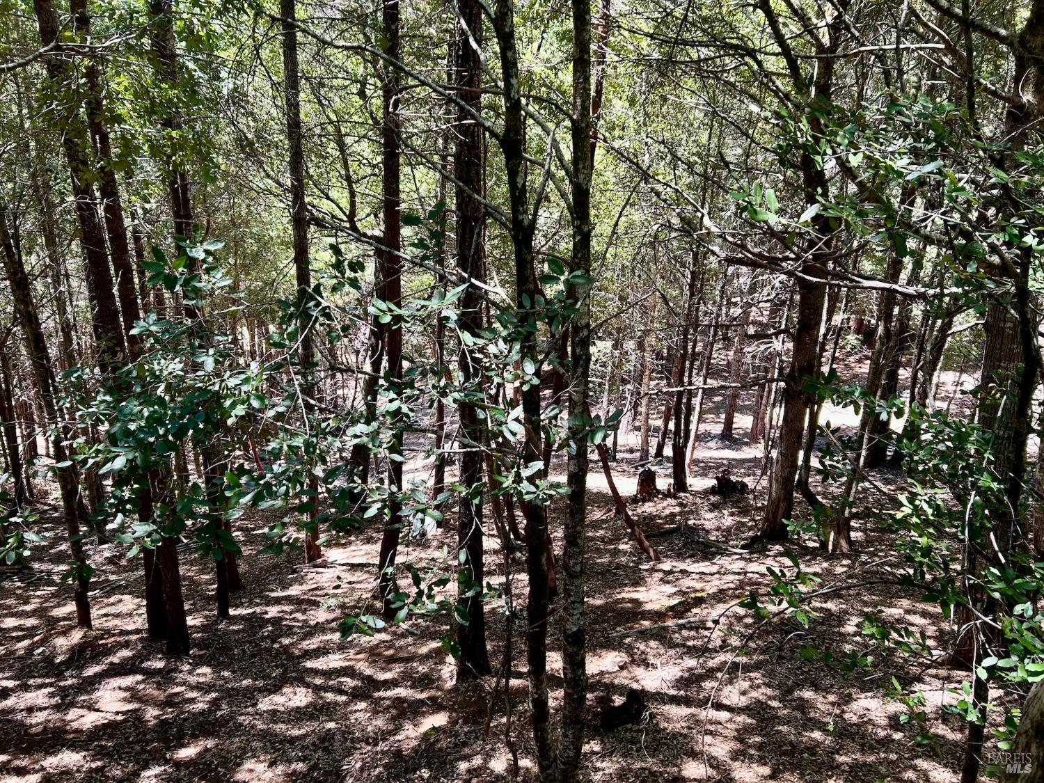 Detail Gallery Image 16 of 23 For 27122 Bear Dr, Willits,  CA 95490 - 3 Beds | 2 Baths