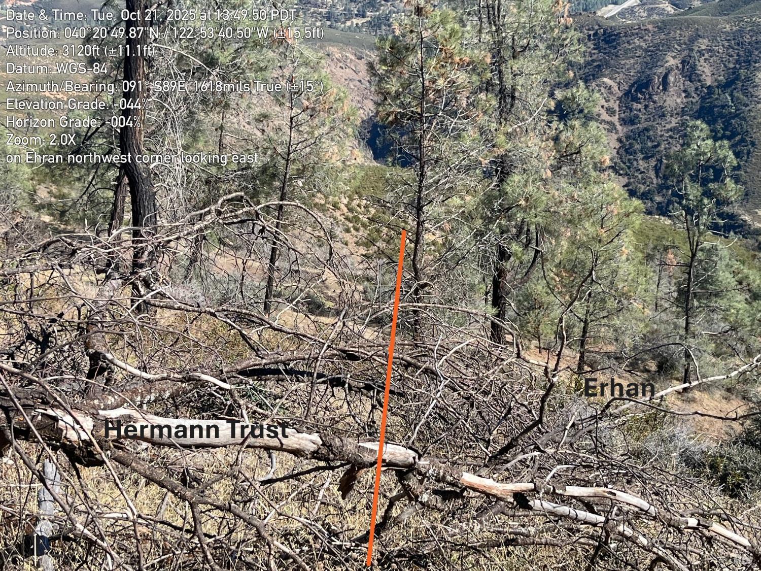 Detail Gallery Image 6 of 24 For 0 Beegum Gorge Rd, Platina,  CA 96076 - – Beds | – Baths