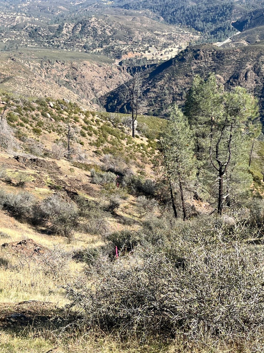 Detail Gallery Image 2 of 24 For 0 Beegum Gorge Rd, Platina,  CA 96076 - – Beds | – Baths