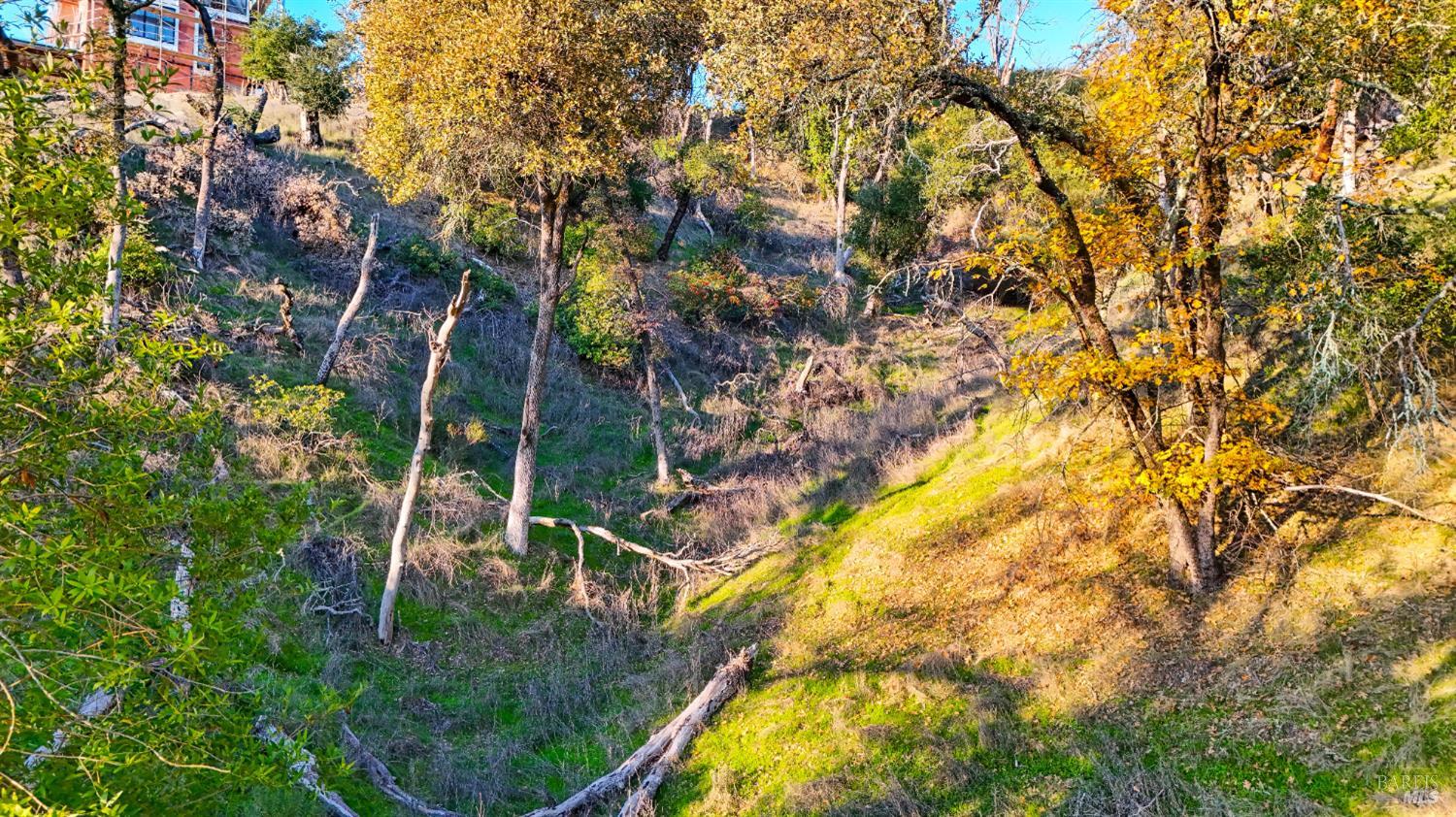 Detail Gallery Image 9 of 14 For 13370 Saddle Rd, Sonoma,  CA 95442 - – Beds | – Baths