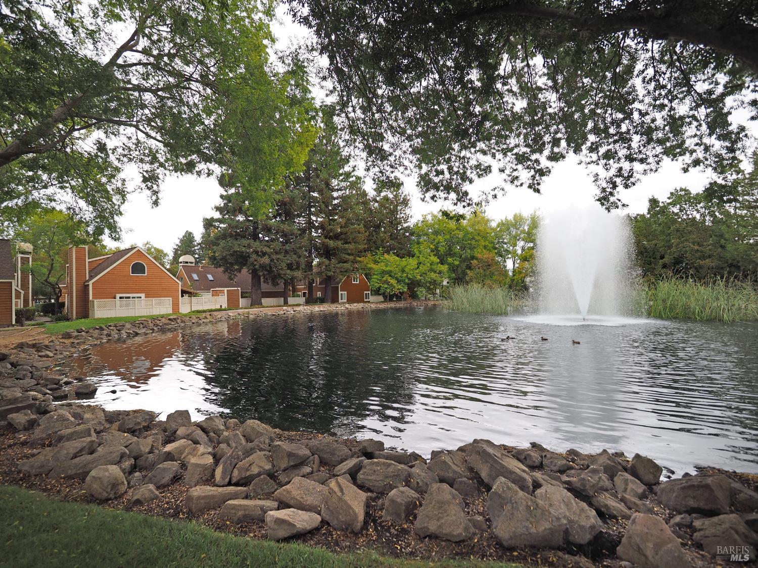 Detail Gallery Image 23 of 30 For 3113 Luna Ct, Santa Rosa,  CA 95405 - 3 Beds | 2/1 Baths