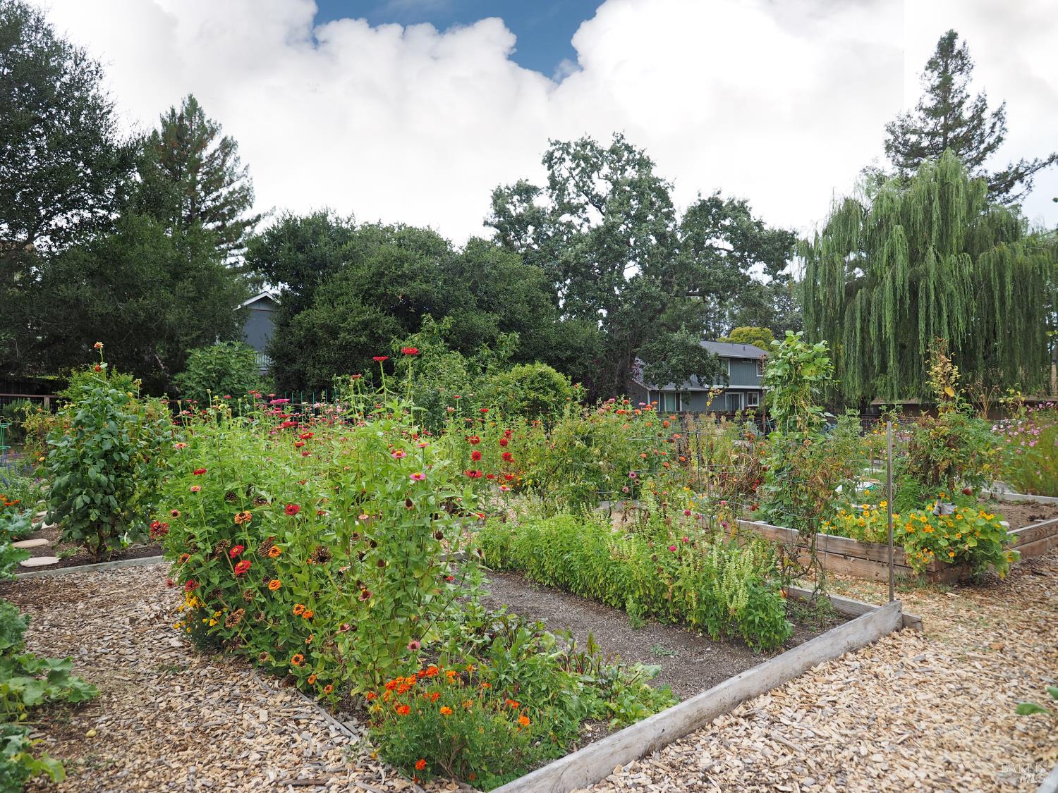 Detail Gallery Image 29 of 30 For 3113 Luna Ct, Santa Rosa,  CA 95405 - 3 Beds | 2/1 Baths