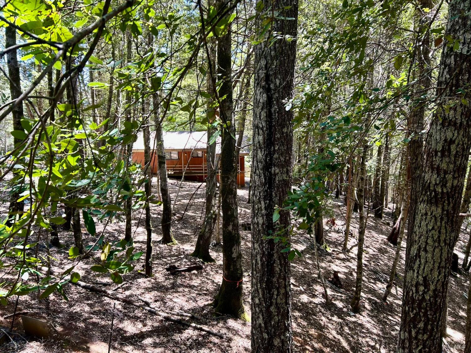 Detail Gallery Image 17 of 23 For 27122 Bear Dr, Willits,  CA 95490 - 3 Beds | 2 Baths