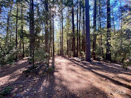 Detail Gallery Image 47 of 74 For 15960 Bottle Rock Rd, Cobb,  CA 95426 - – Beds | – Baths