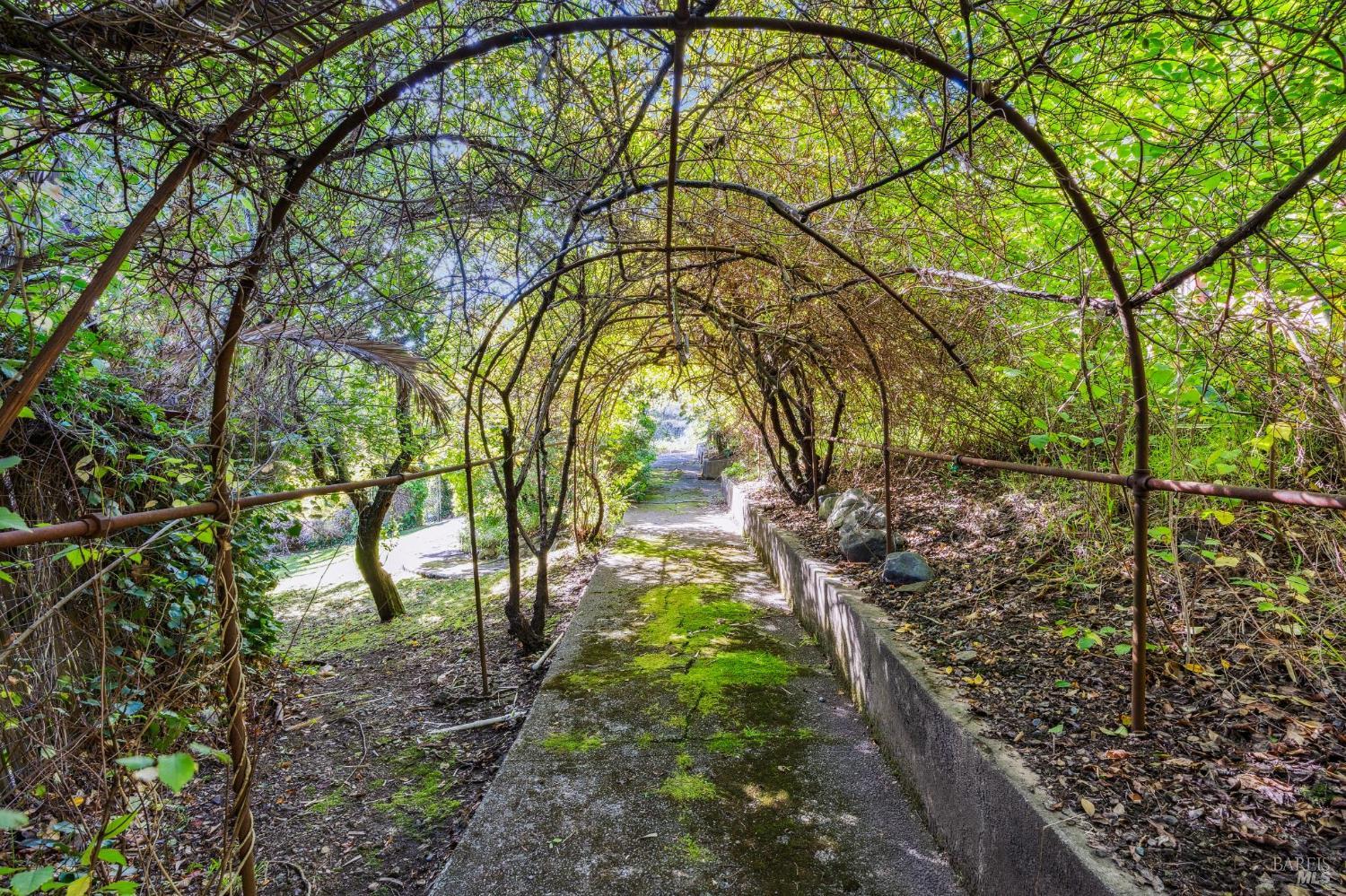 Detail Gallery Image 32 of 35 For 15 Tamalpais Ave, Mill Valley,  CA 94941 - 5 Beds | 2/1 Baths