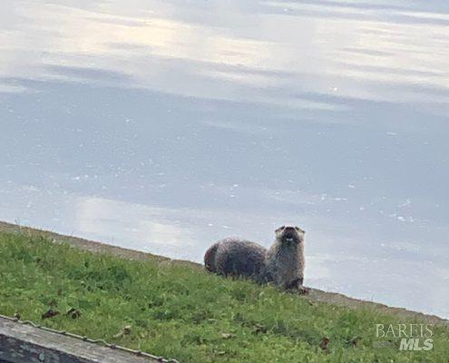 Detail Gallery Image 47 of 49 For 9211 Lakewood Dr, Windsor,  CA 95492 - 2 Beds | 2/1 Baths