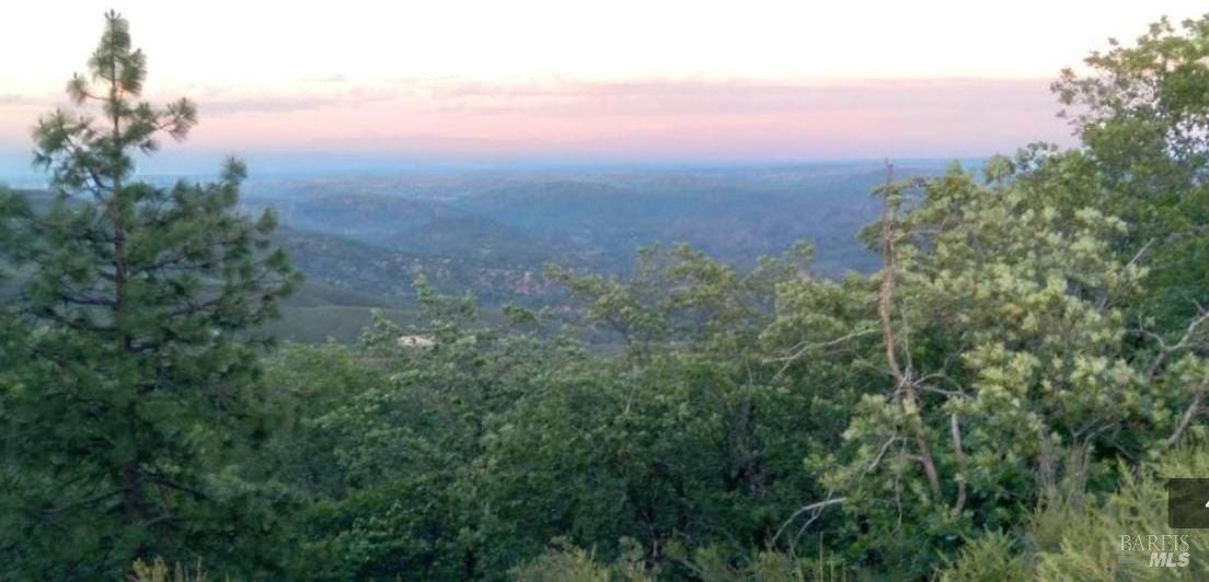 Detail Gallery Image 3 of 24 For 0 Beegum Gorge Rd, Platina,  CA 96076 - – Beds | – Baths