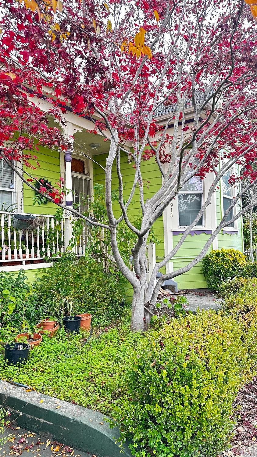 Detail Gallery Image 2 of 7 For 918 Alameda St, Vallejo,  CA 94590 - 2 Beds | 1 Baths