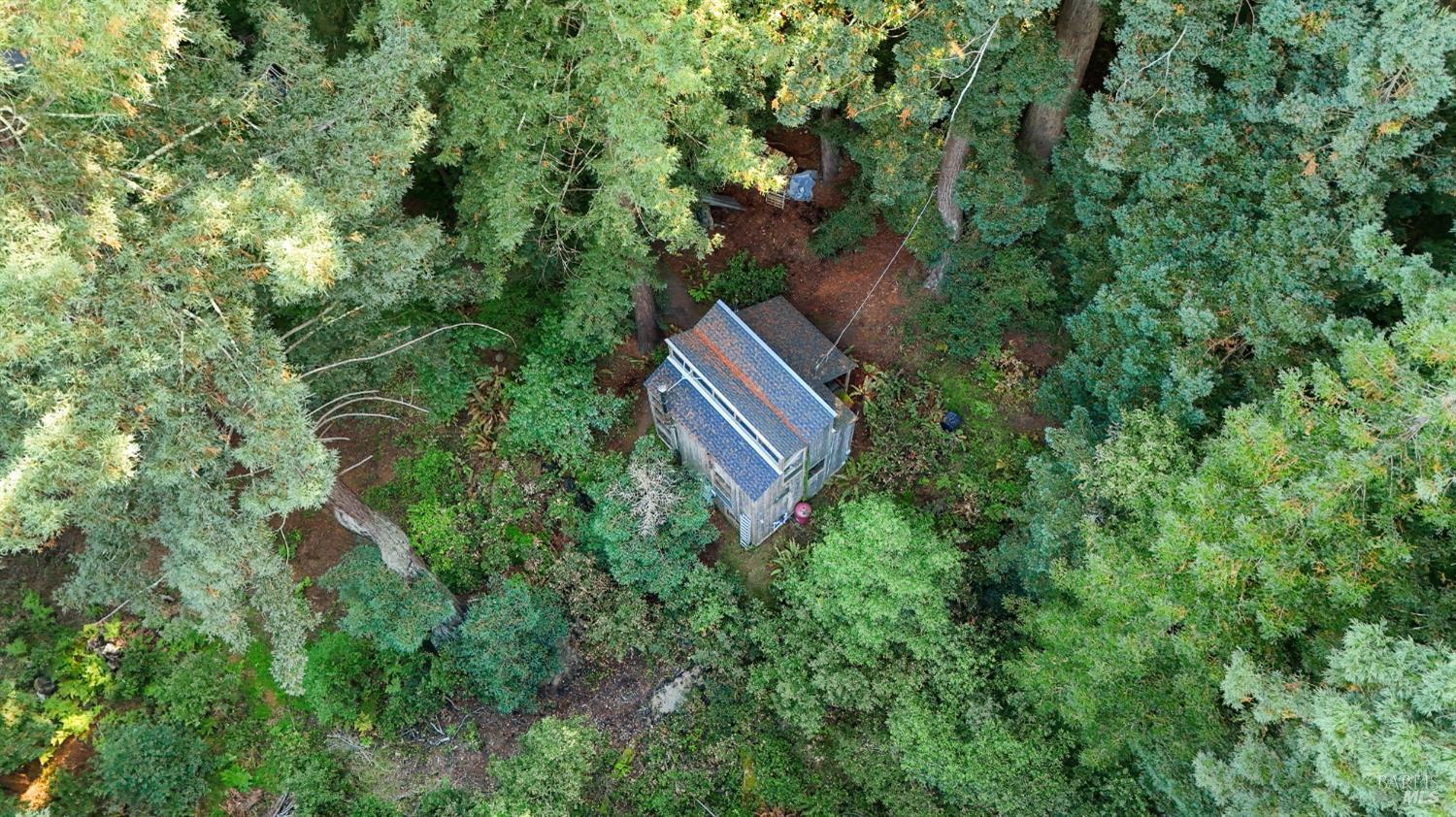 Detail Gallery Image 69 of 90 For 2081 Joy Rd, Occidental,  CA 95465 - 3 Beds | 2/1 Baths