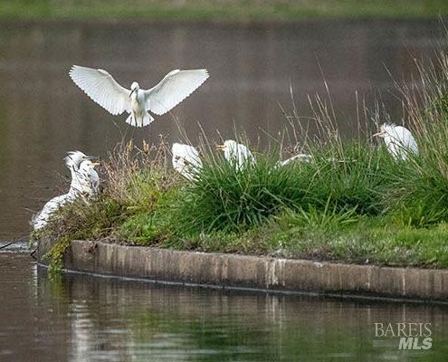 Detail Gallery Image 43 of 49 For 9211 Lakewood Dr, Windsor,  CA 95492 - 2 Beds | 2/1 Baths