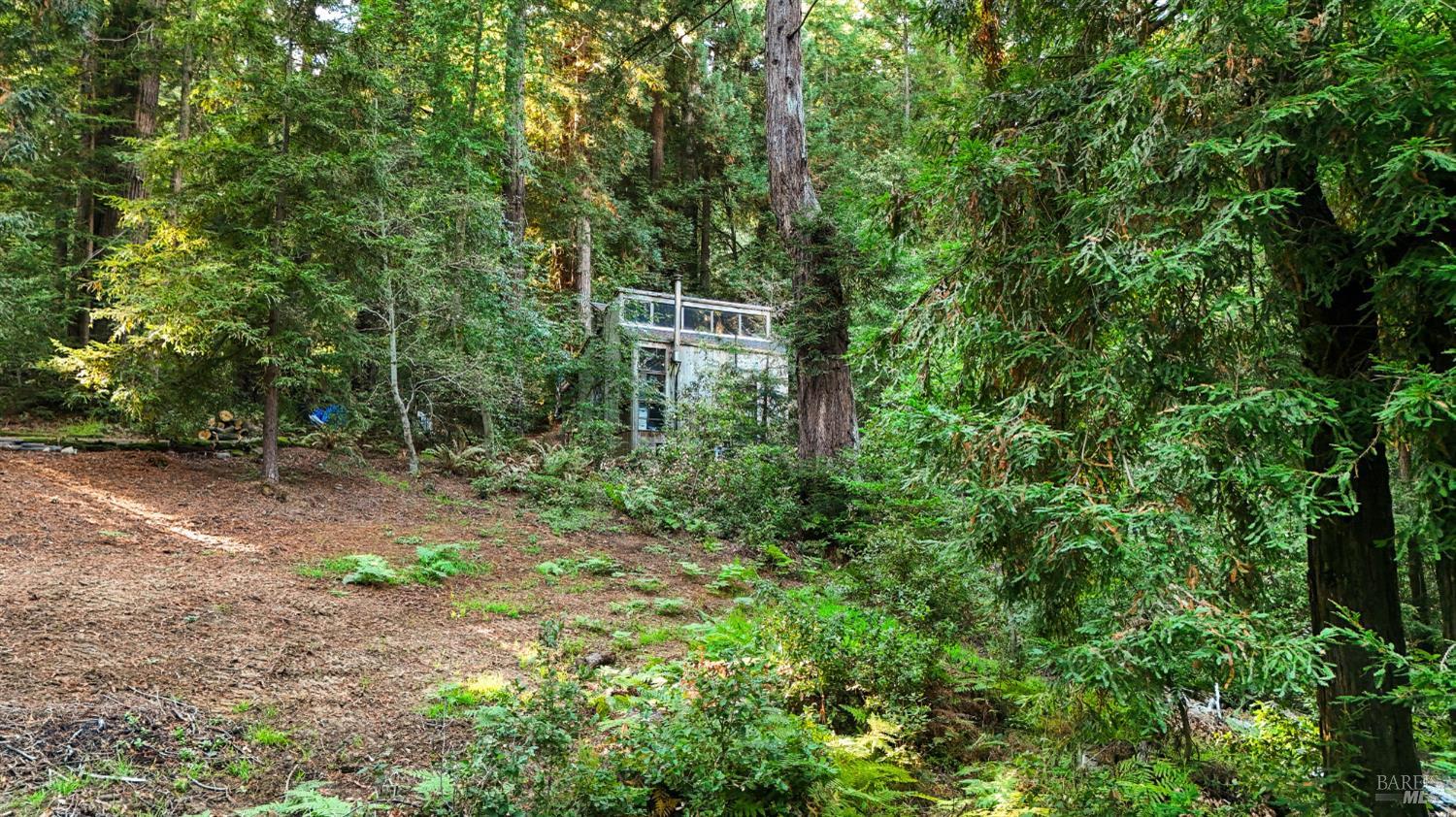 Detail Gallery Image 70 of 90 For 2081 Joy Rd, Occidental,  CA 95465 - 3 Beds | 2/1 Baths