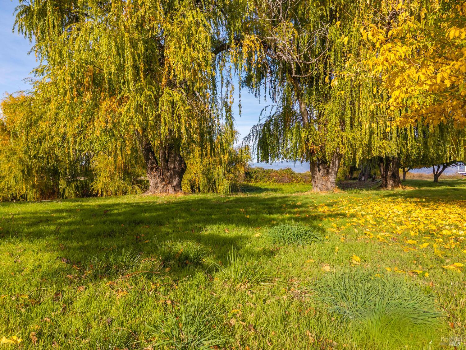 Detail Gallery Image 15 of 79 For 8 Queen Ann Way, Lakeport,  CA 95453 - 3 Beds | 3 Baths