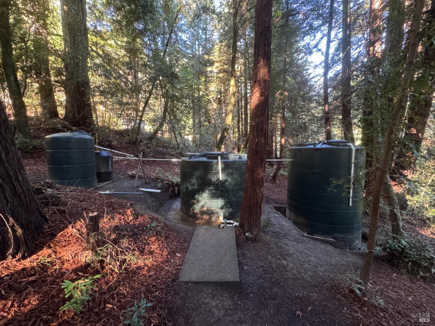 Detail Gallery Image 87 of 90 For 2081 Joy Rd, Occidental,  CA 95465 - 3 Beds | 2/1 Baths