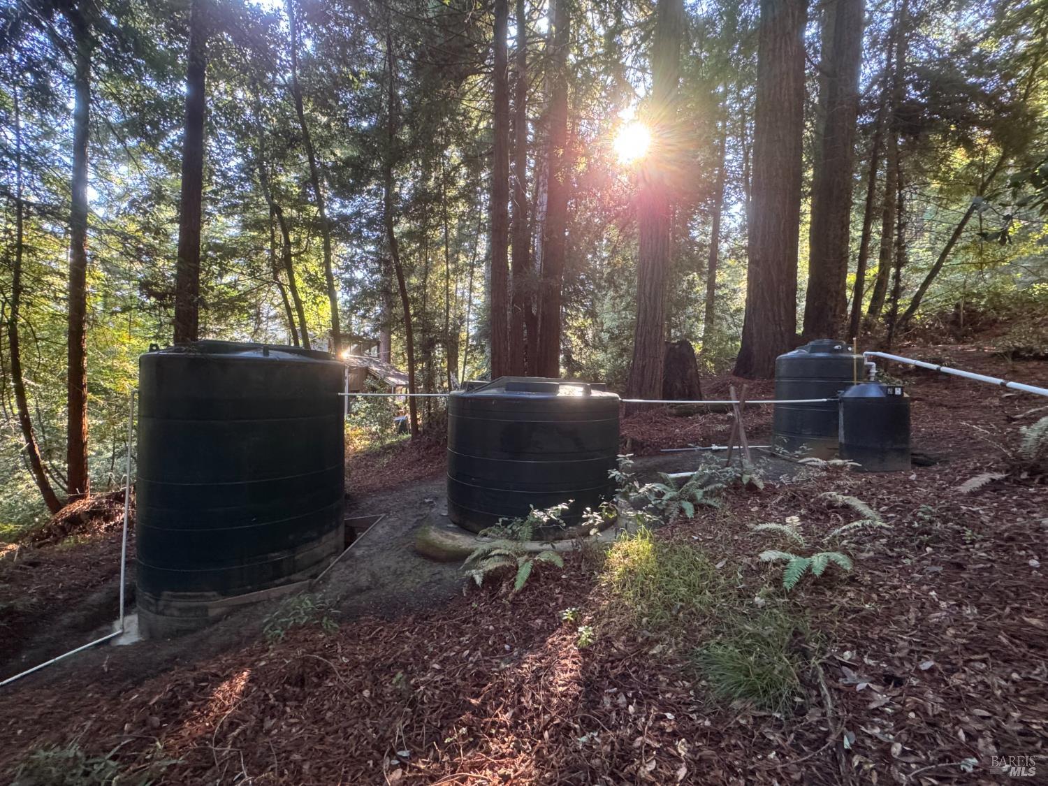 Detail Gallery Image 86 of 90 For 2081 Joy Rd, Occidental,  CA 95465 - 3 Beds | 2/1 Baths