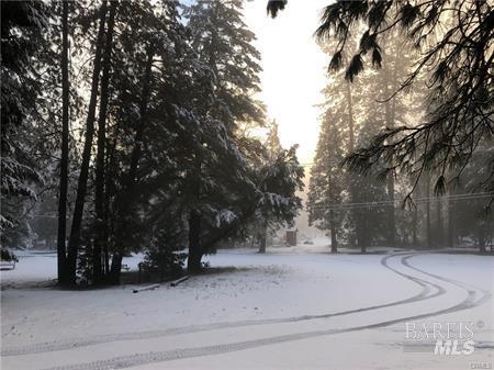 Detail Gallery Image 42 of 74 For 15960 Bottle Rock Rd, Cobb,  CA 95426 - – Beds | – Baths