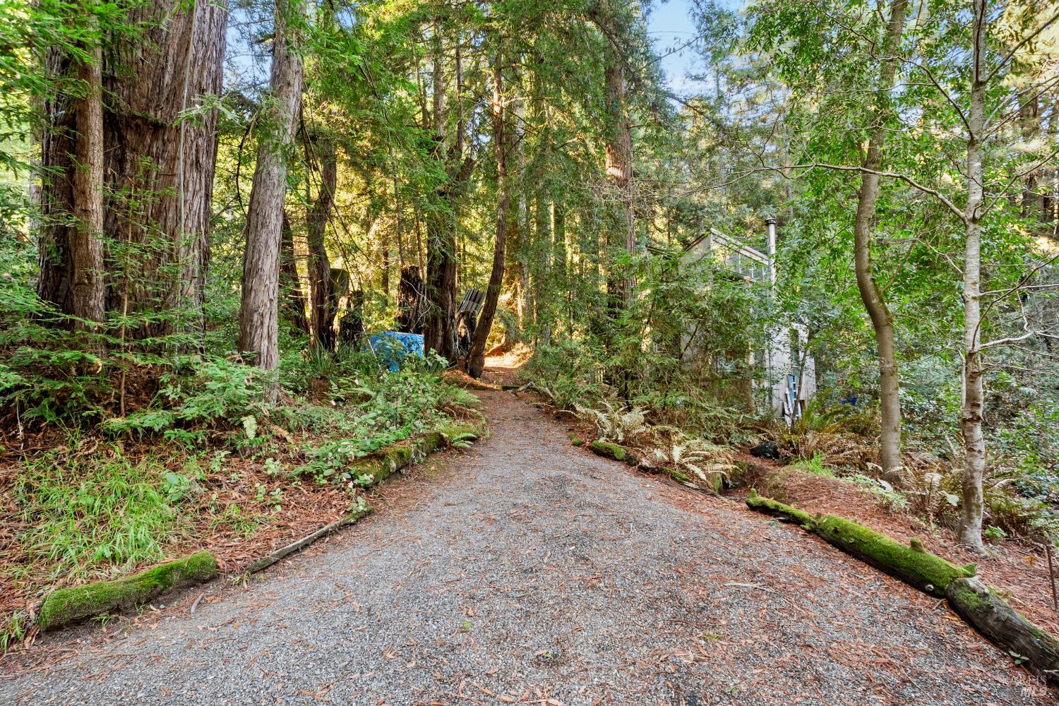 Detail Gallery Image 71 of 90 For 2081 Joy Rd, Occidental,  CA 95465 - 3 Beds | 2/1 Baths