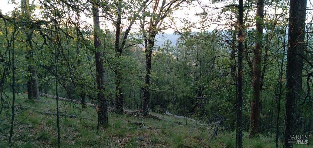 Detail Gallery Image 21 of 24 For 0 Beegum Gorge Rd, Platina,  CA 96076 - – Beds | – Baths