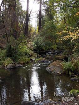 Detail Gallery Image 59 of 74 For 15960 Bottle Rock Rd, Cobb,  CA 95426 - – Beds | – Baths