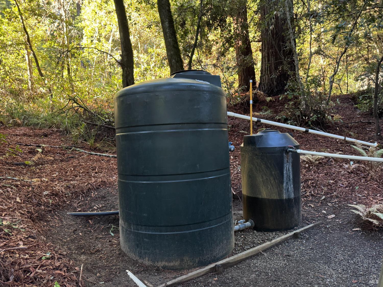 Detail Gallery Image 88 of 90 For 2081 Joy Rd, Occidental,  CA 95465 - 3 Beds | 2/1 Baths