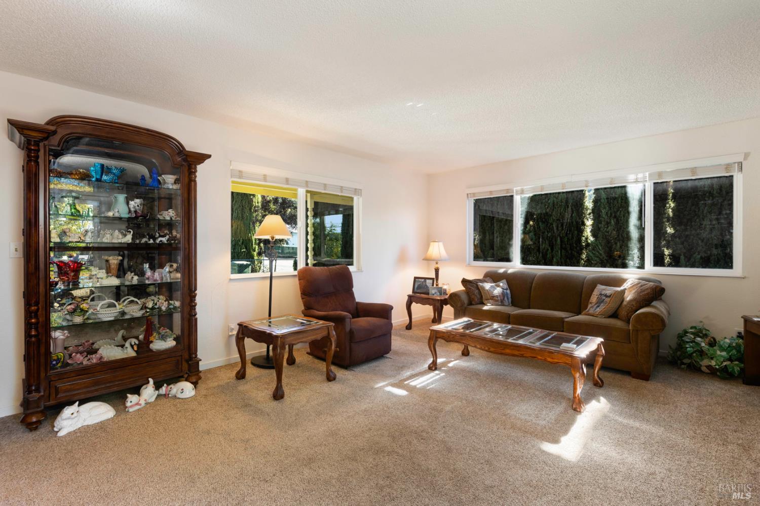 Detail Gallery Image 8 of 54 For 6825 Virginia Dr, Lucerne,  CA 95458 - 3 Beds | 2 Baths