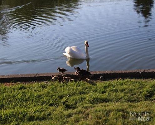 Detail Gallery Image 45 of 49 For 9211 Lakewood Dr, Windsor,  CA 95492 - 2 Beds | 2/1 Baths