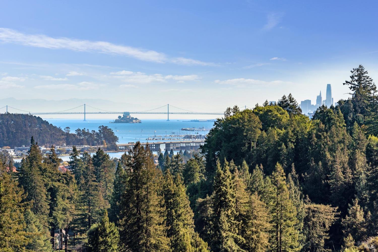 Detail Gallery Image 5 of 35 For 15 Tamalpais Ave, Mill Valley,  CA 94941 - 5 Beds | 2/1 Baths