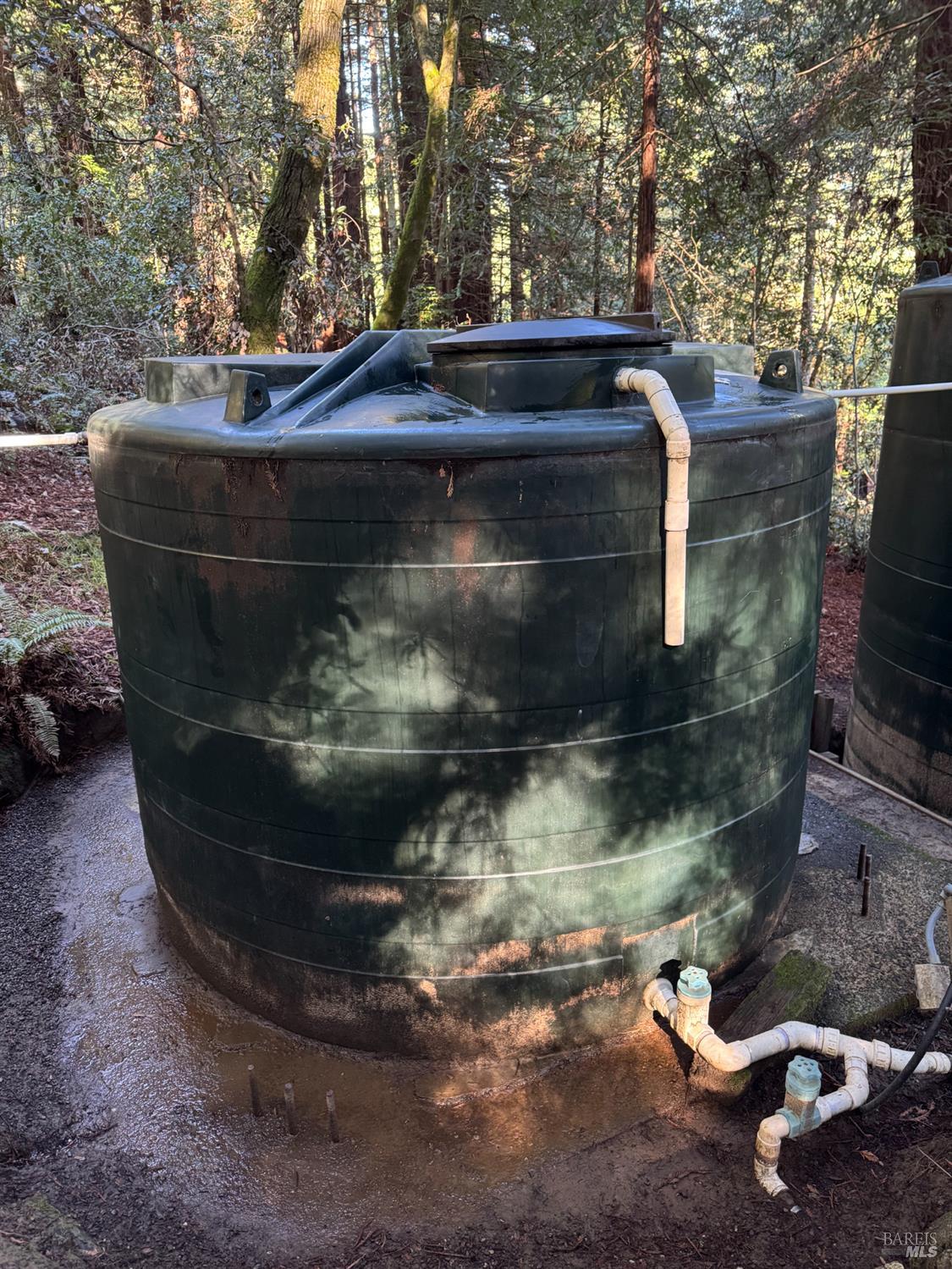 Detail Gallery Image 89 of 90 For 2081 Joy Rd, Occidental,  CA 95465 - 3 Beds | 2/1 Baths