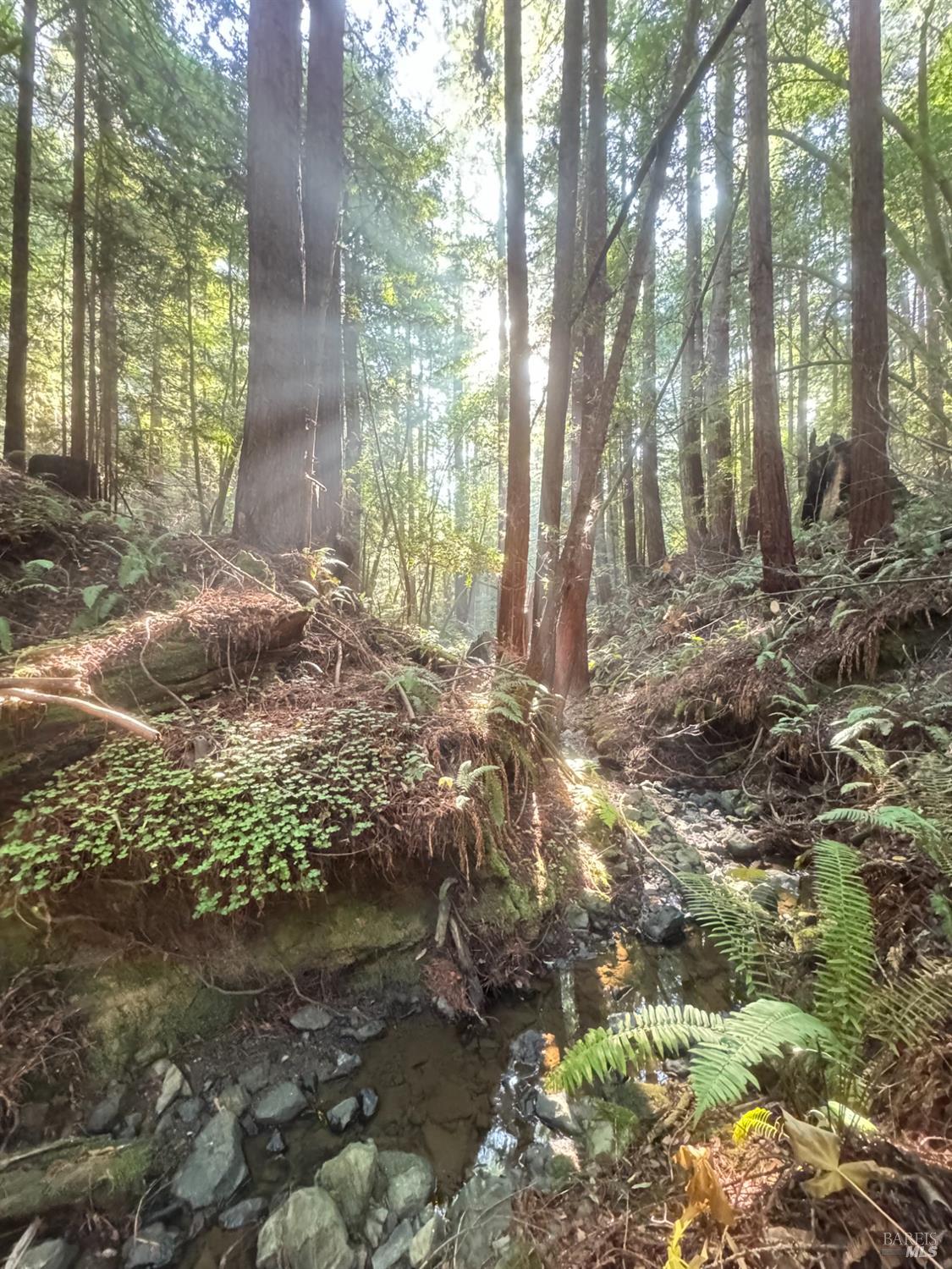 Detail Gallery Image 48 of 90 For 2081 Joy Rd, Occidental,  CA 95465 - 3 Beds | 2/1 Baths