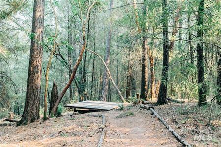 Detail Gallery Image 57 of 74 For 15960 Bottle Rock Rd, Cobb,  CA 95426 - – Beds | – Baths