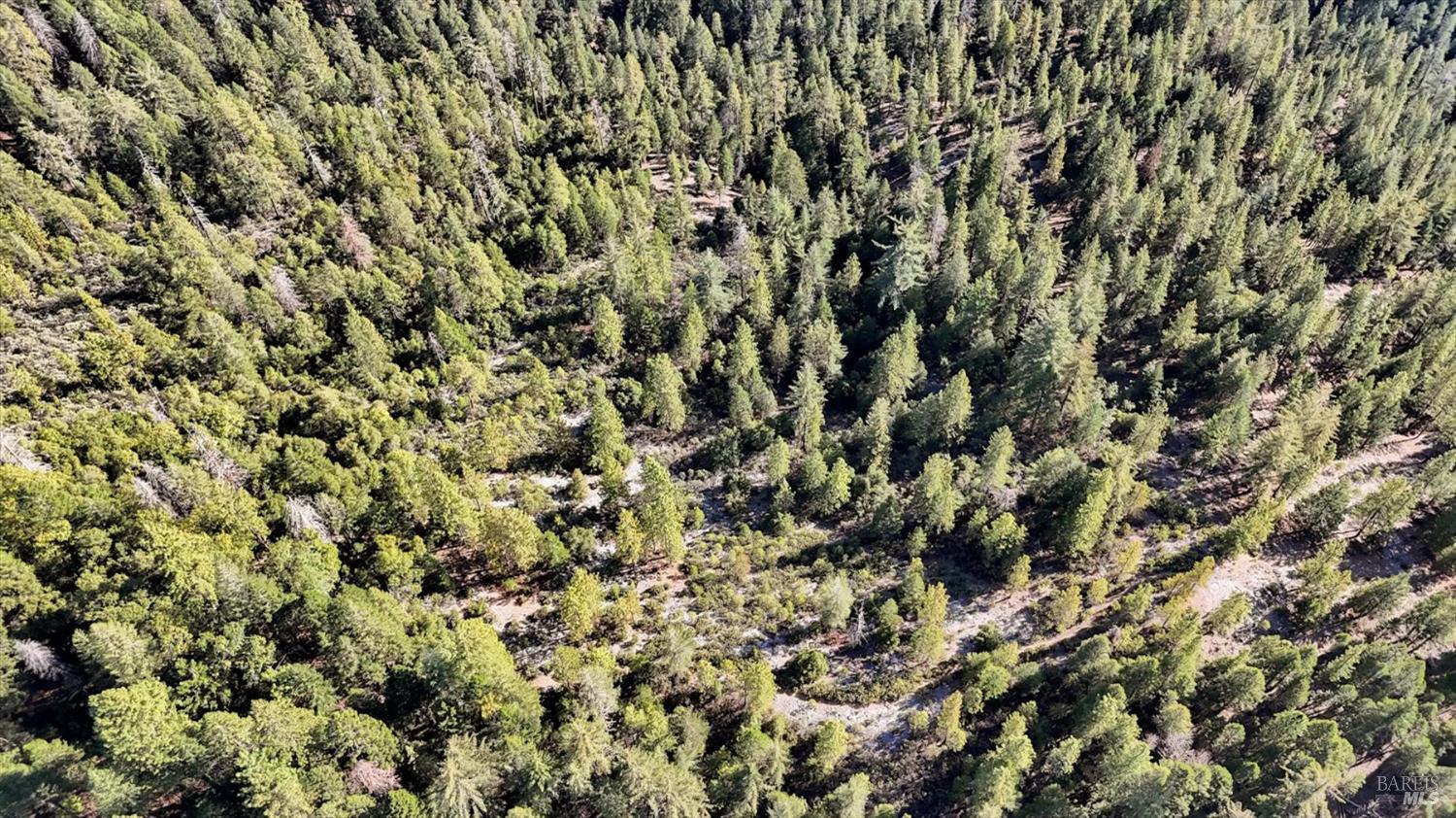 Detail Gallery Image 9 of 13 For 80501 Ebert Ln, Piercy,  CA 95587 - – Beds | – Baths