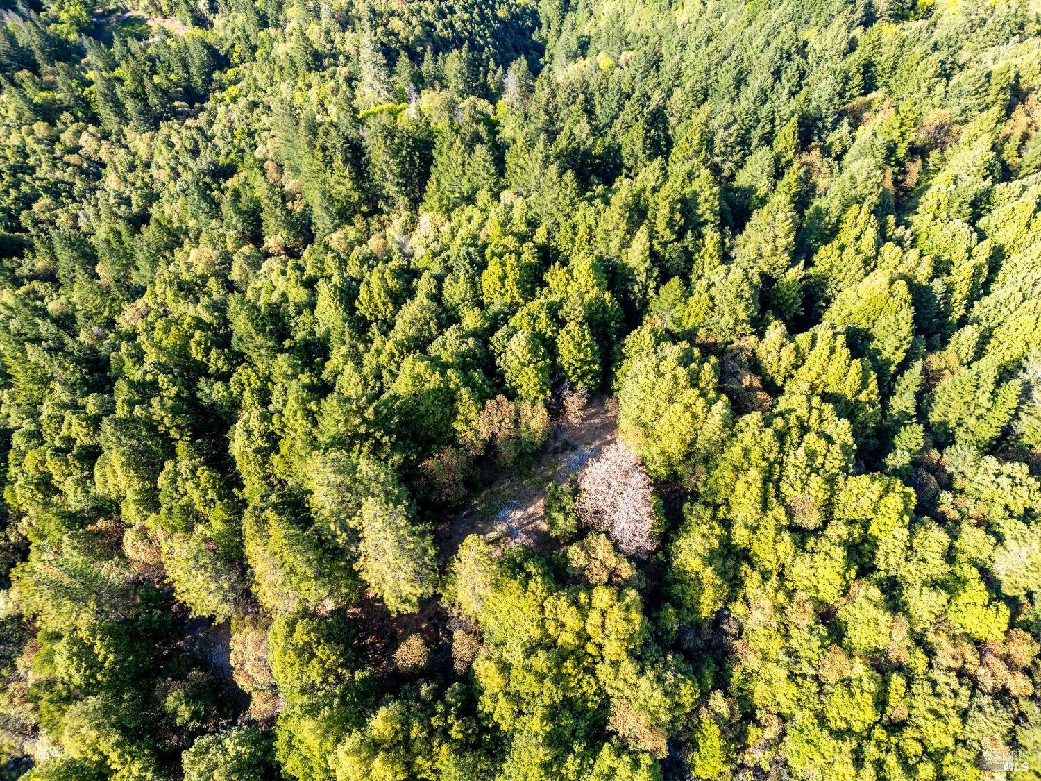 Detail Gallery Image 3 of 12 For 80501 Ebert Ln, Piercy,  CA 95587 - – Beds | – Baths