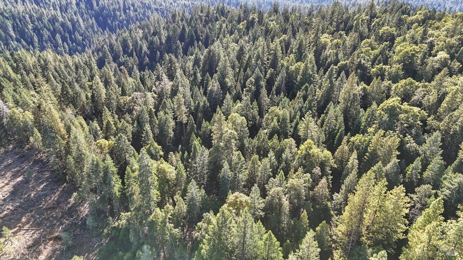 Detail Gallery Image 7 of 12 For 80501 Ebert Ln, Piercy,  CA 95587 - – Beds | – Baths