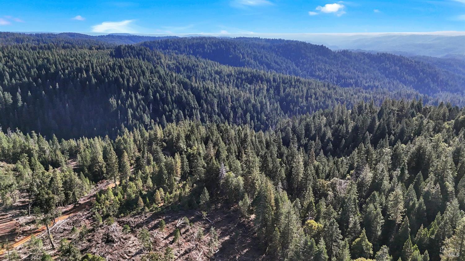 Detail Gallery Image 5 of 12 For 80501 Ebert Ln, Piercy,  CA 95587 - – Beds | – Baths