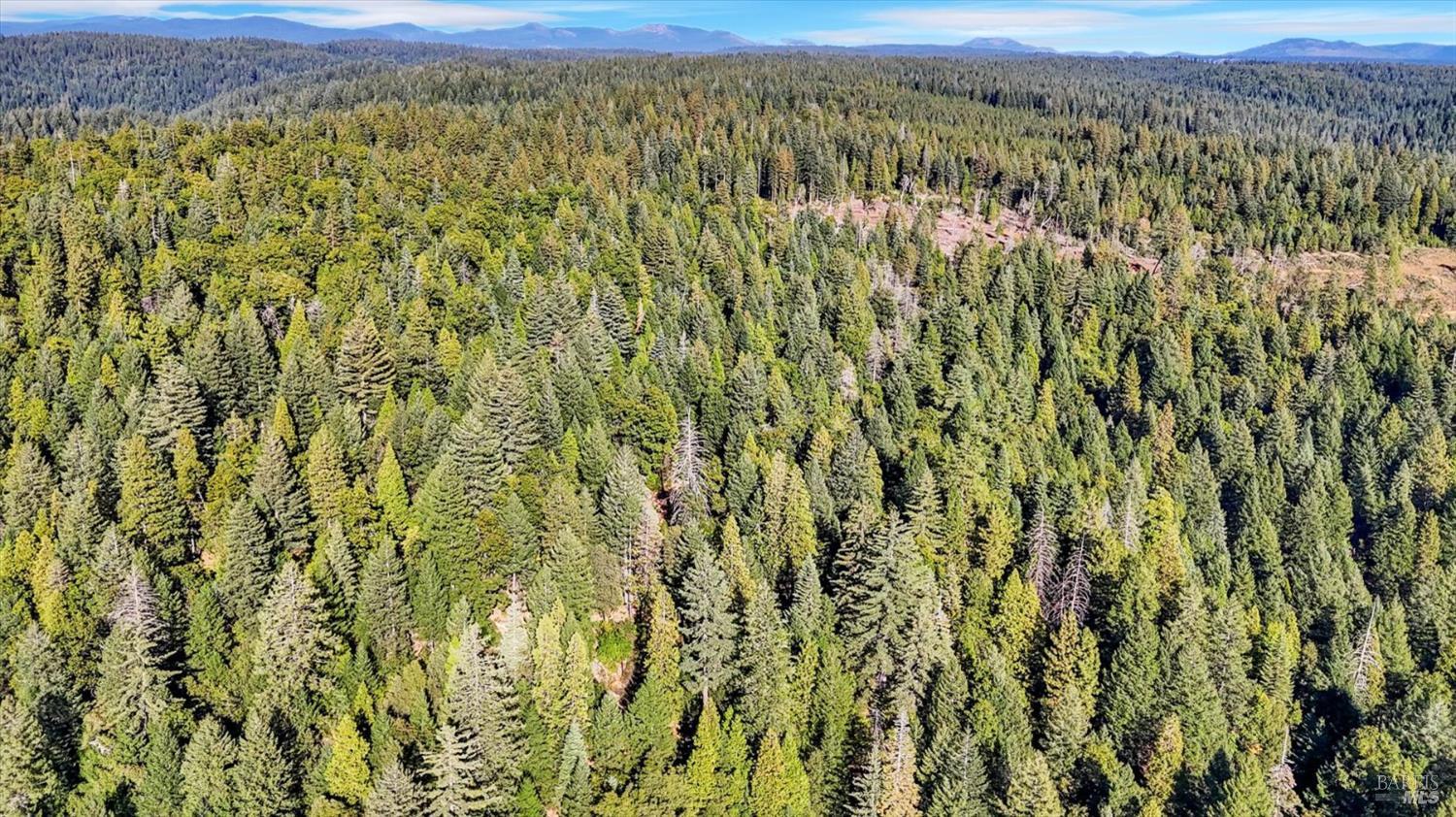 Detail Gallery Image 11 of 13 For 80501 Ebert Ln, Piercy,  CA 95587 - – Beds | – Baths