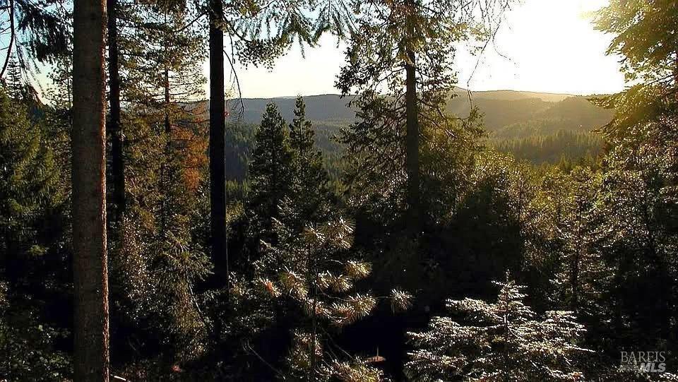 Detail Gallery Image 6 of 12 For 80501 Ebert Ln, Piercy,  CA 95587 - – Beds | – Baths