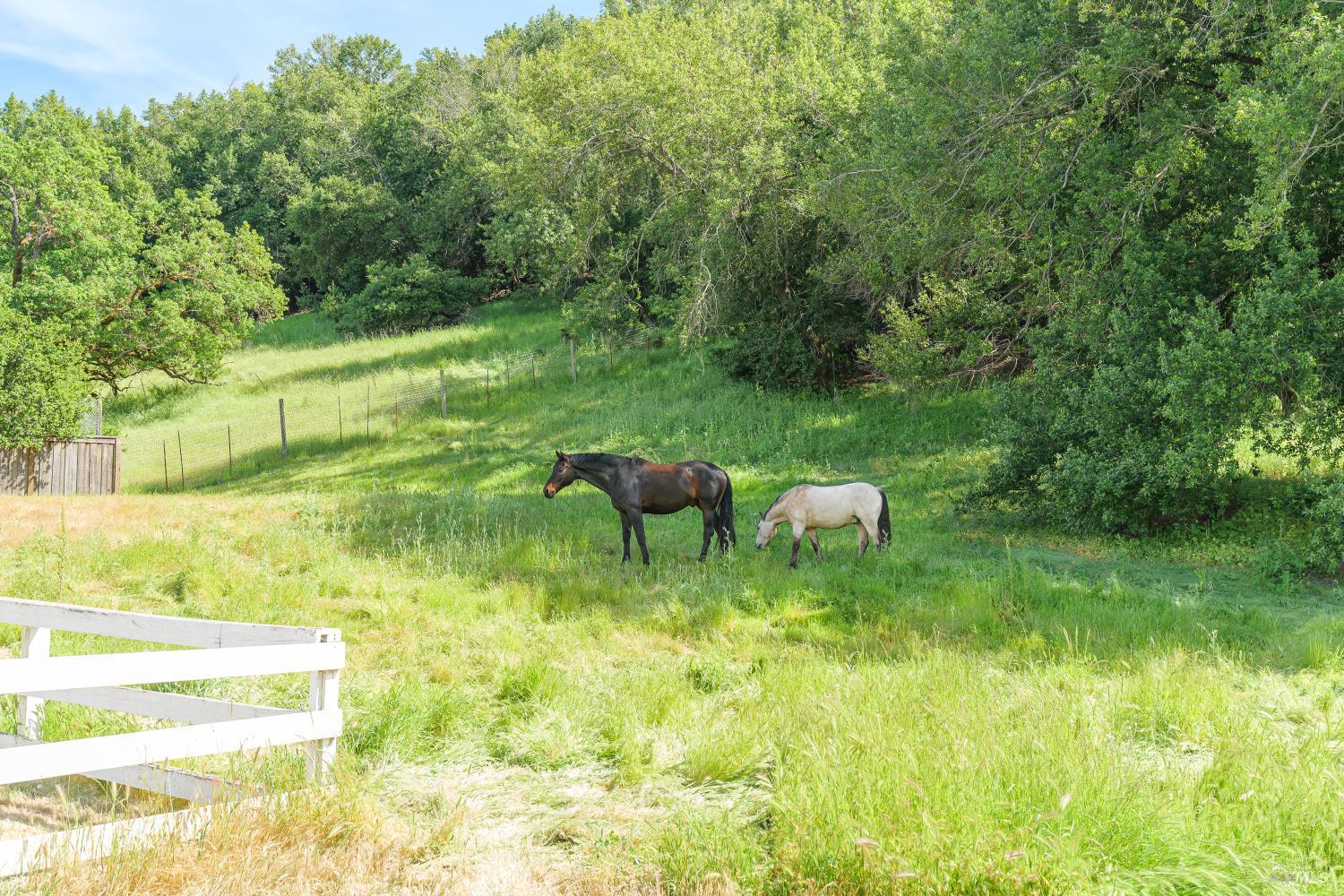 Detail Gallery Image 41 of 41 For 155 H Ln, Novato,  CA 94945 - 4 Beds | 4/1 Baths