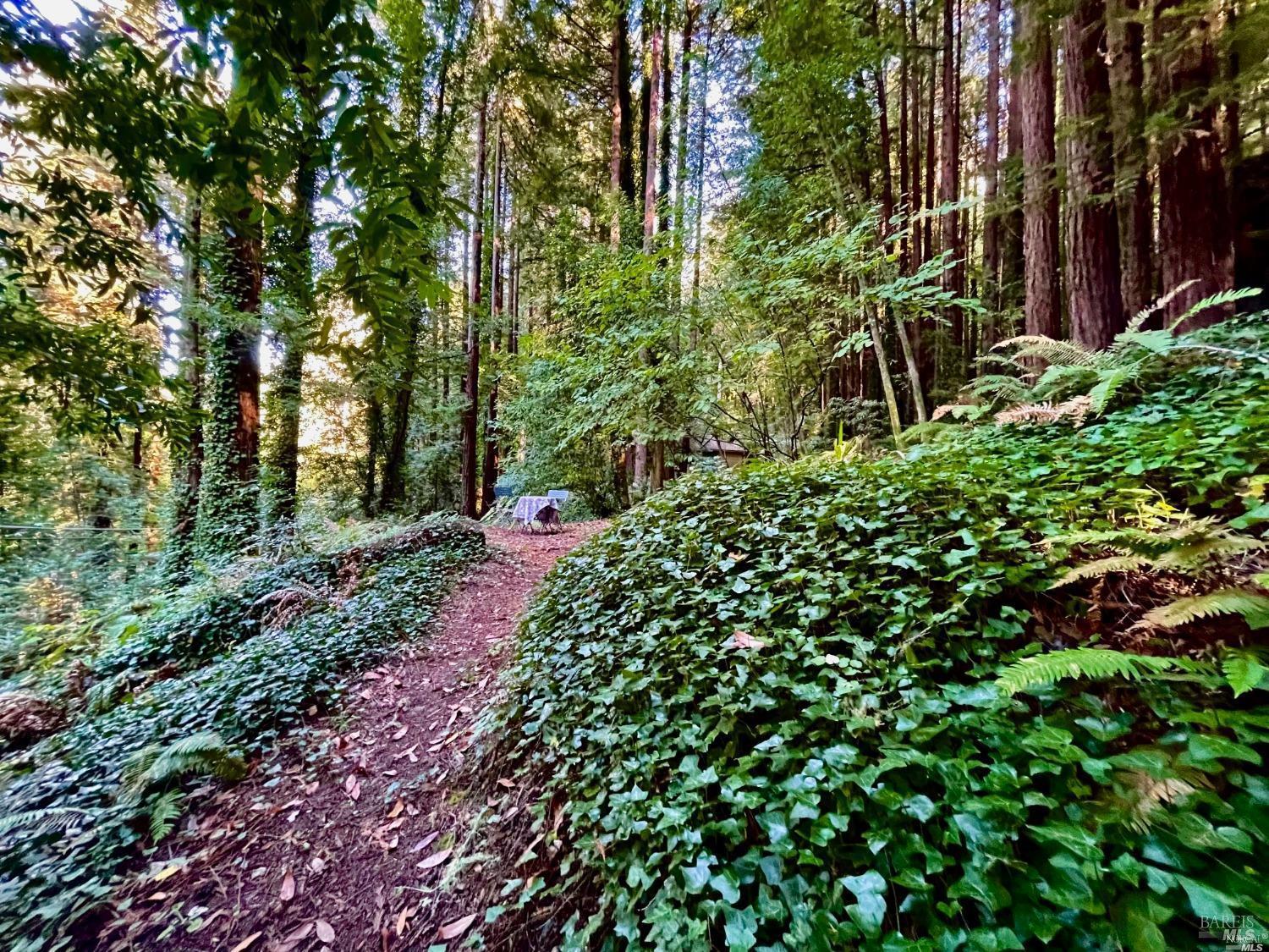 Detail Gallery Image 20 of 21 For 21899 Mesa Grande Ter, Monte Rio,  CA 95462 - – Beds | – Baths