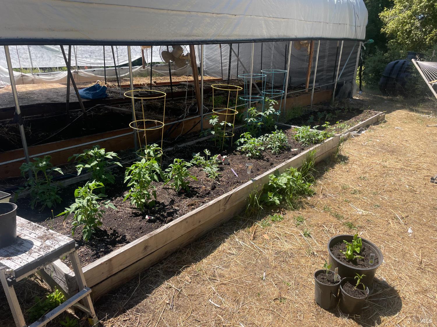 Detail Gallery Image 9 of 44 For 36000 Nash Mill Rd, Philo,  CA 95466 - – Beds | – Baths