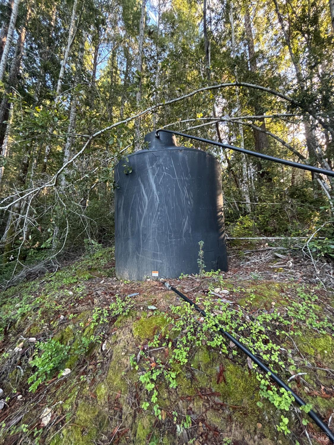 Detail Gallery Image 35 of 44 For 36000 Nash Mill Rd, Philo,  CA 95466 - – Beds | – Baths