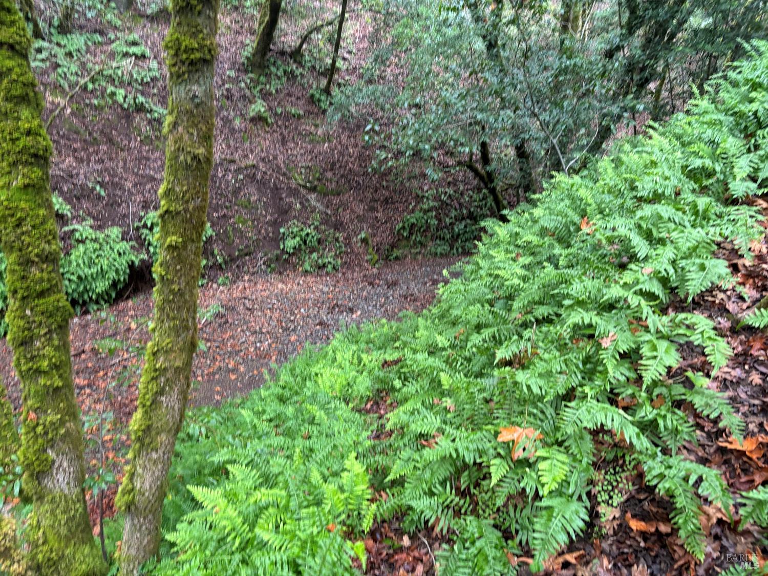 Detail Gallery Image 9 of 9 For 11285 Dell Ave, Forestville,  CA 95436 - – Beds | – Baths