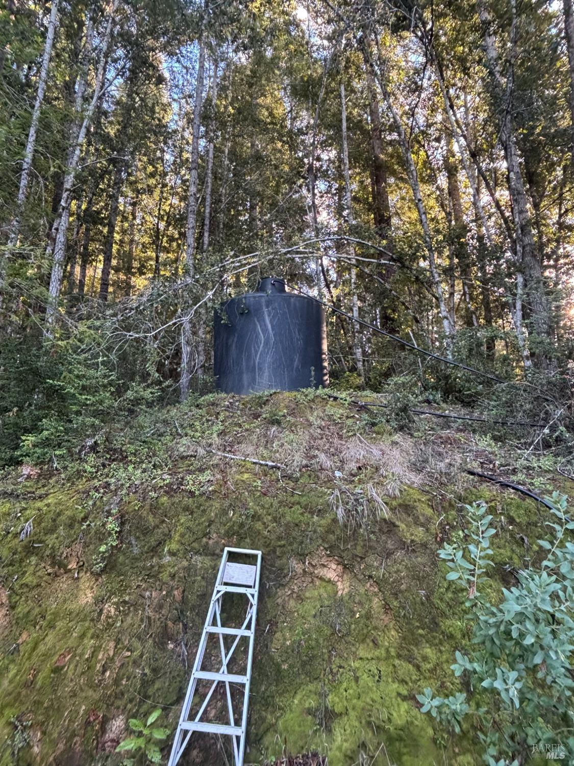 Detail Gallery Image 33 of 44 For 36000 Nash Mill Rd, Philo,  CA 95466 - – Beds | – Baths