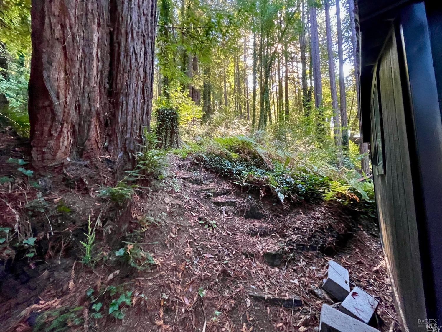 Detail Gallery Image 8 of 21 For 21899 Mesa Grande Ter, Monte Rio,  CA 95462 - – Beds | – Baths