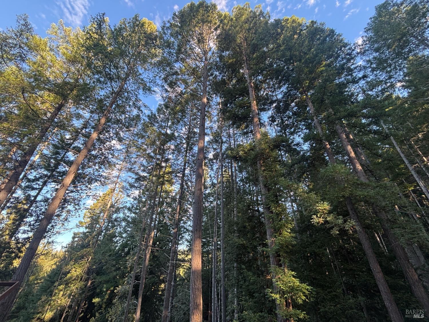 Detail Gallery Image 38 of 44 For 36000 Nash Mill Rd, Philo,  CA 95466 - – Beds | – Baths