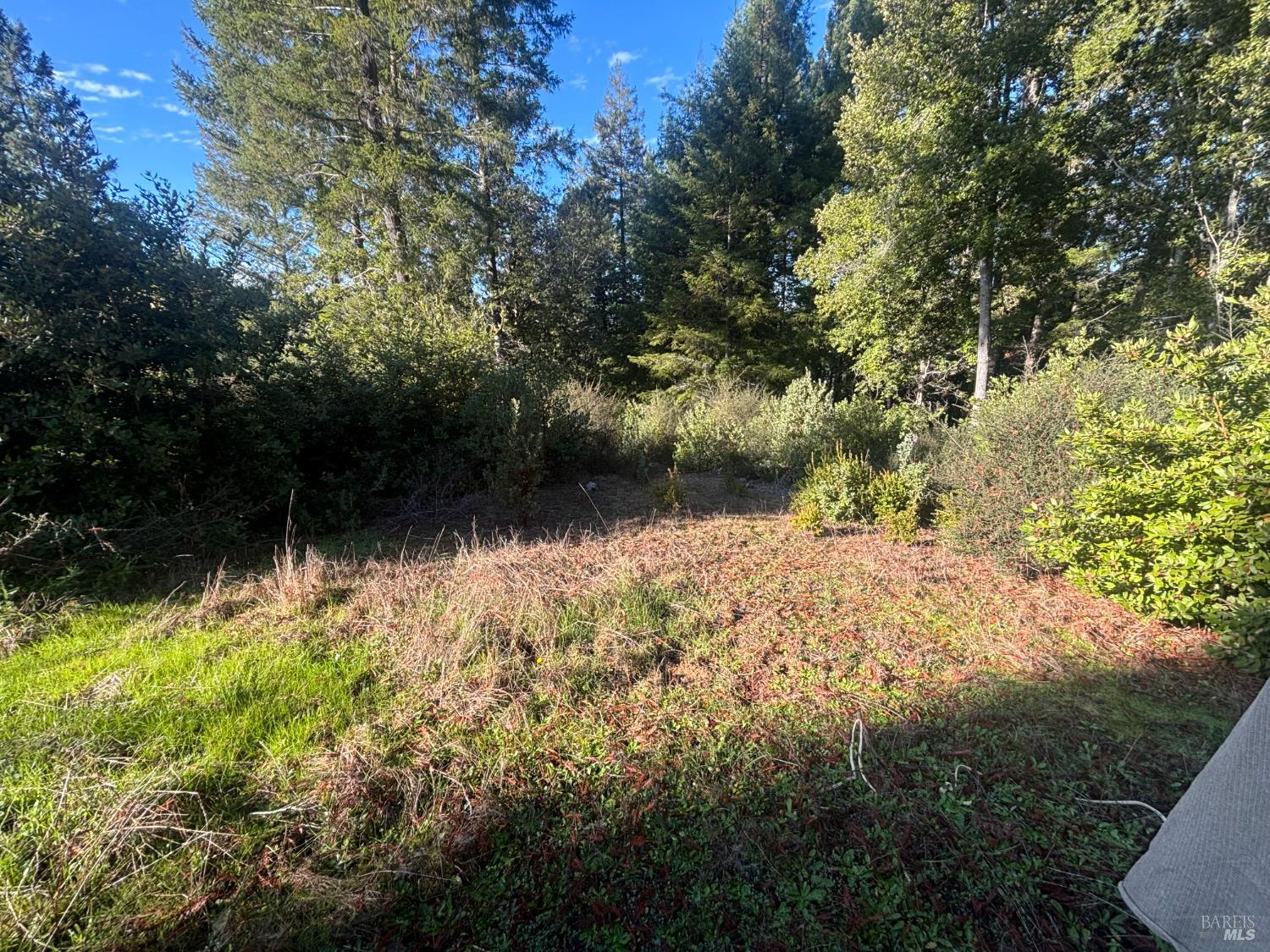 Detail Gallery Image 25 of 44 For 36000 Nash Mill Rd, Philo,  CA 95466 - – Beds | – Baths