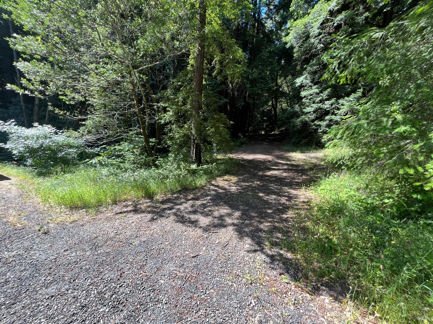 Detail Gallery Image 2 of 33 For 1355 Nicasio Valley Rd, Nicasio,  CA 94946 - 0 Beds | 0/1 Baths