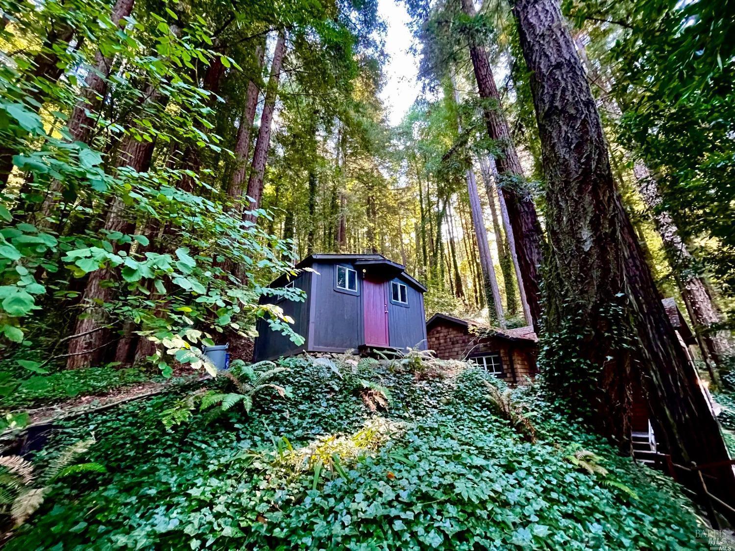 Detail Gallery Image 16 of 21 For 21899 Mesa Grande Ter, Monte Rio,  CA 95462 - – Beds | – Baths