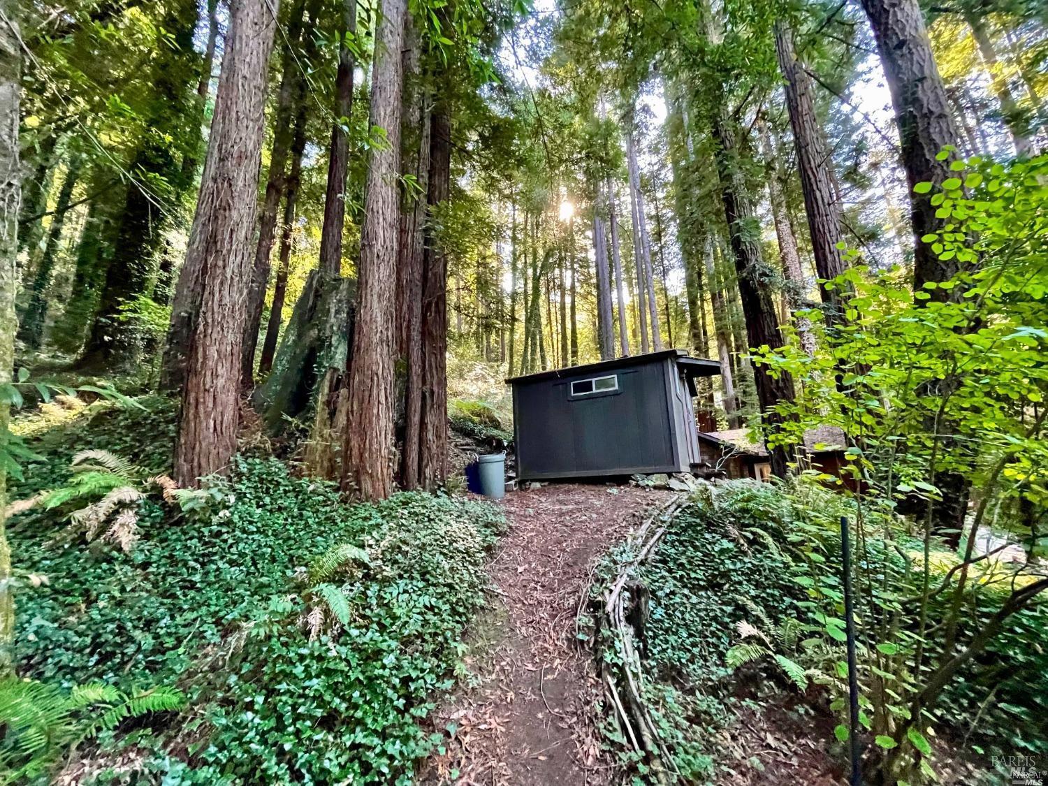 Detail Gallery Image 15 of 21 For 21899 Mesa Grande Ter, Monte Rio,  CA 95462 - – Beds | – Baths