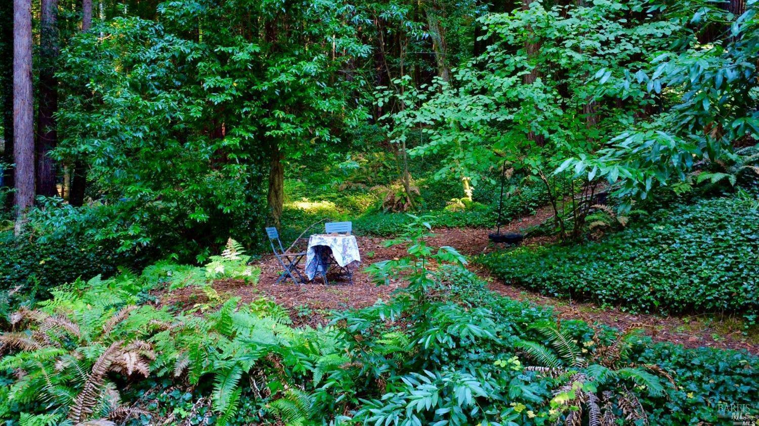 Detail Gallery Image 13 of 21 For 21899 Mesa Grande Ter, Monte Rio,  CA 95462 - – Beds | – Baths