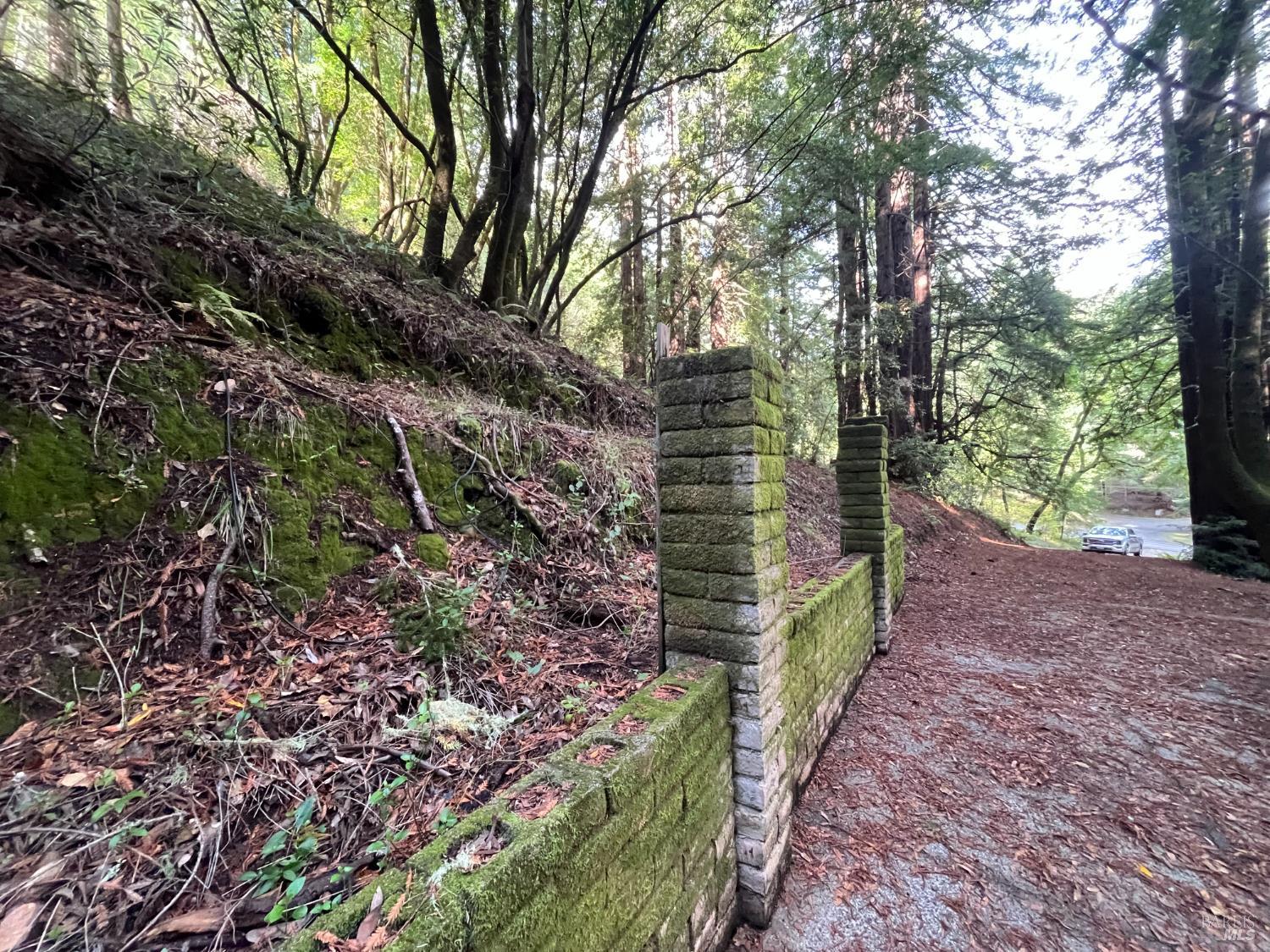 Detail Gallery Image 12 of 33 For 1355 Nicasio Valley Rd, Nicasio,  CA 94946 - 0 Beds | 0/1 Baths