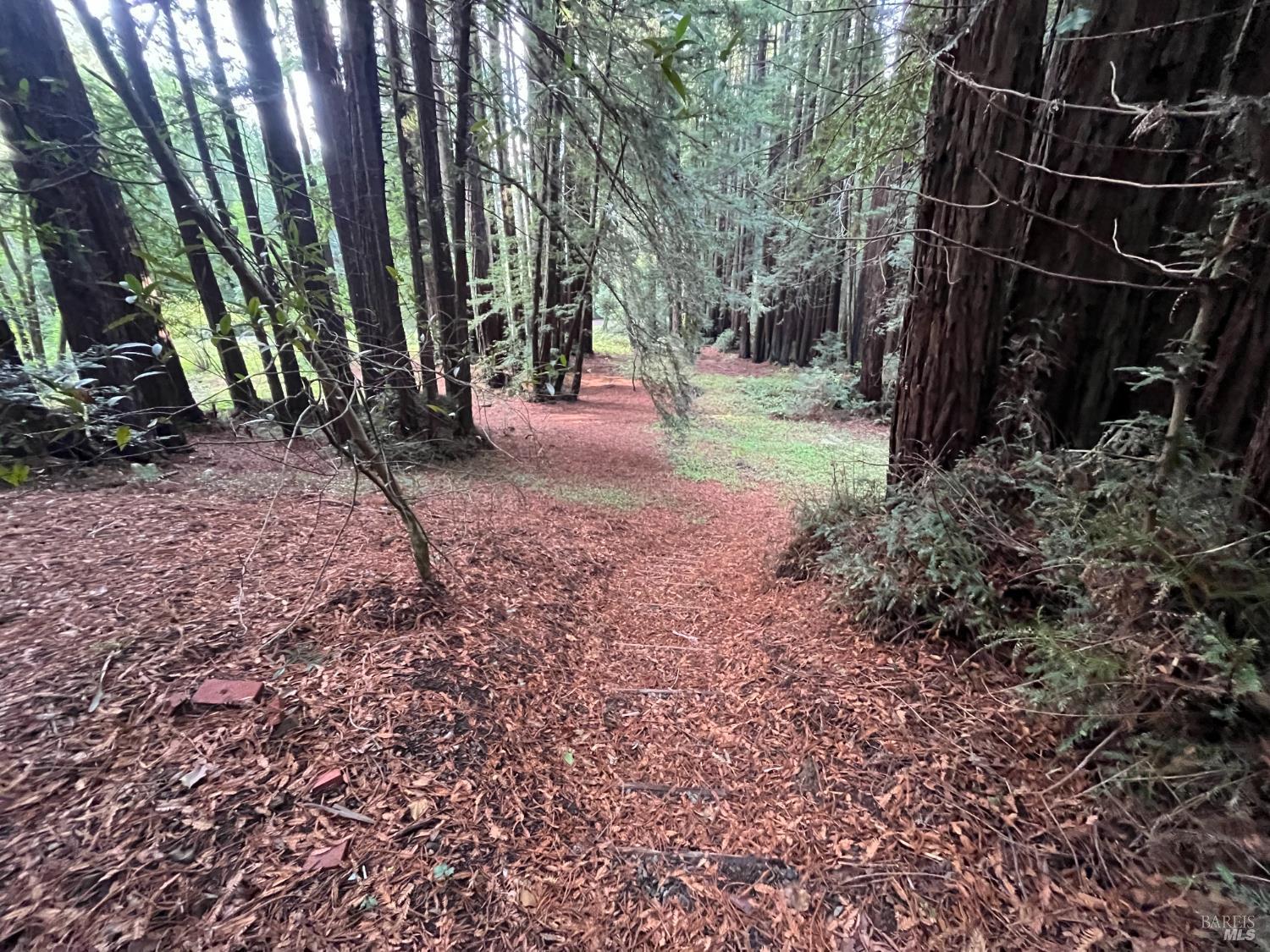 Detail Gallery Image 15 of 33 For 1355 Nicasio Valley Rd, Nicasio,  CA 94946 - 0 Beds | 0/1 Baths